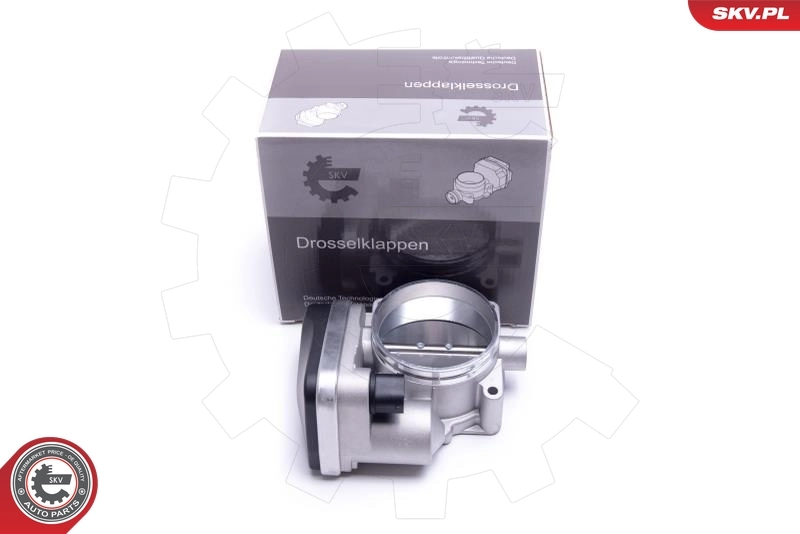 Throttle Body